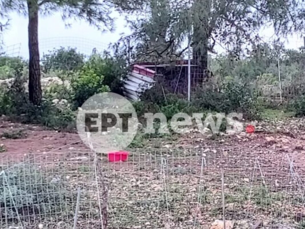 Θρήνος στη Ζάκυνθο για το 2χρονο αγοράκι που πέθανε από επίθεση σκύλου