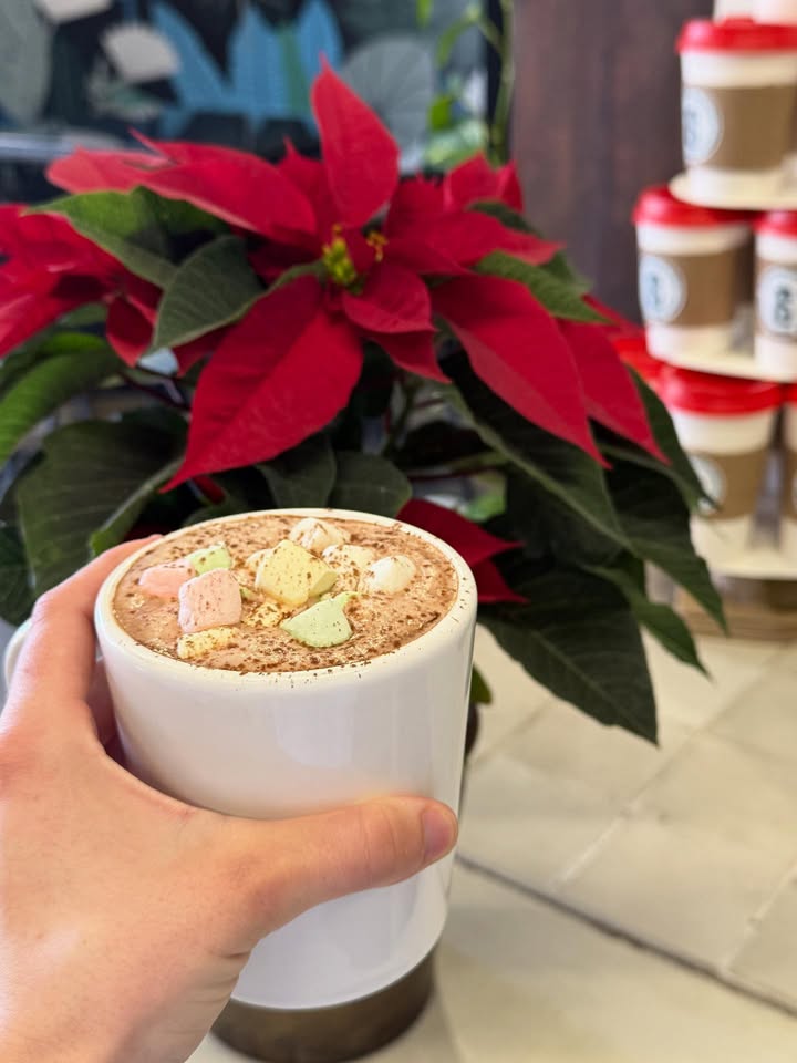 Ροφήματα με αντιοξειδωτικά για καθημερινή ευεξία, εύκολες ιδέες που σε ανανεώνουν