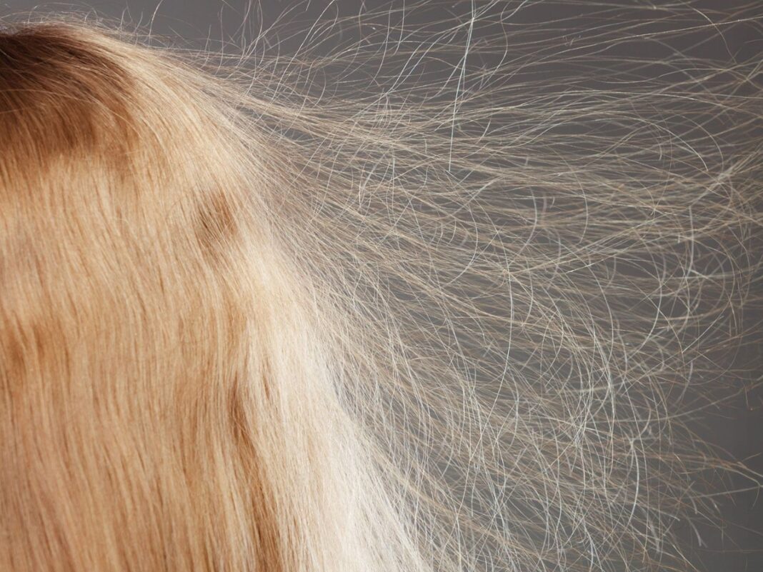 Τι να κάνεις όταν τα μαλλιά “ηλεκτρίζονται” (και πώς το προλαμβάνεις)