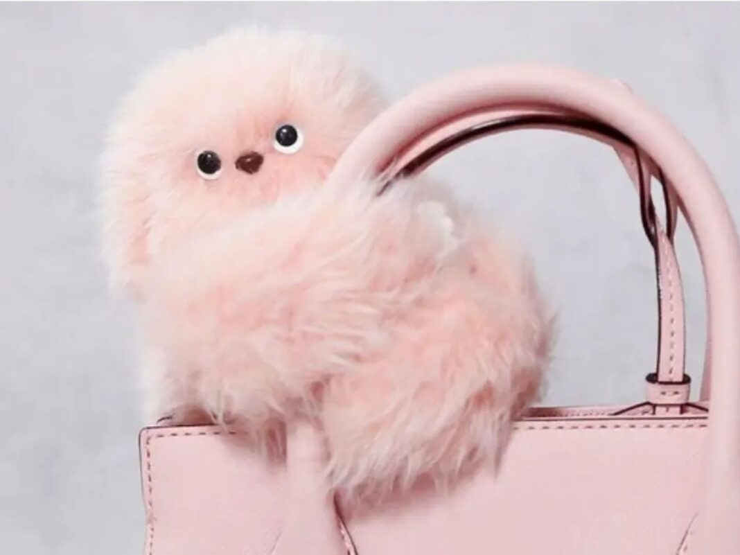 Mirumi: Το έξυπνο αξεσουάρ που φέρνει την τεχνολογία στη μόδα